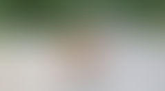 Victimes de la route