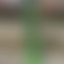 Commune de Herve : bravo !