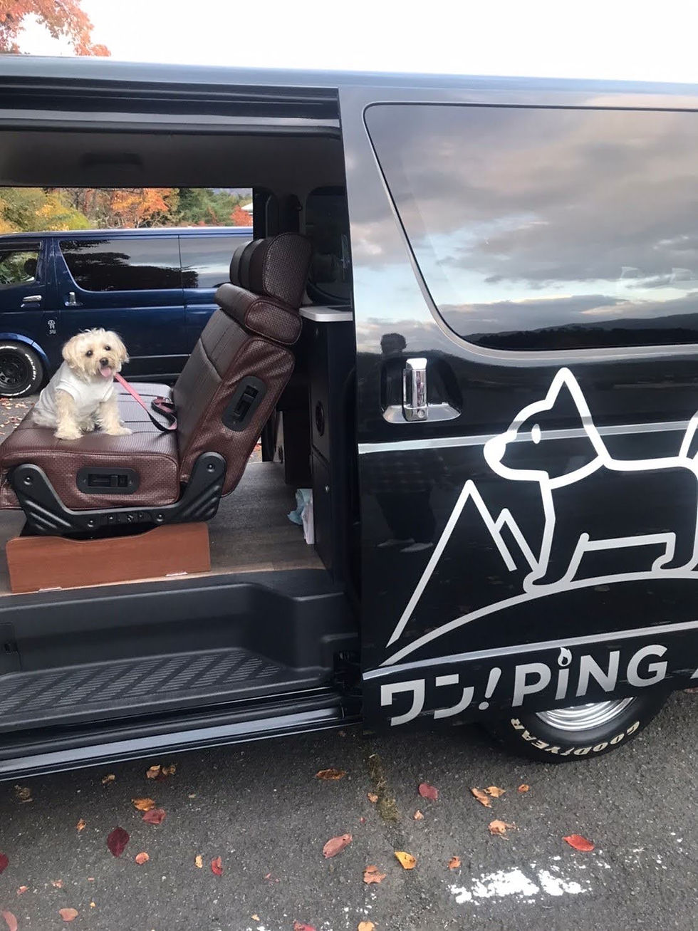 犬 ハイエース