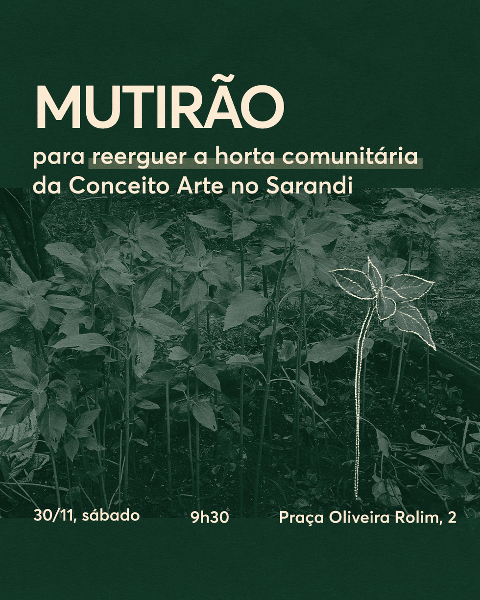 Casca Socioambiental