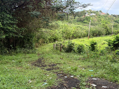 image00003.jpeg