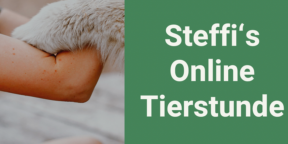 Steffi‘s Online Tierstunde