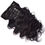 Thumbnail: Premium Bodywave Seamless Clip-In (100% Virgin Tresses)