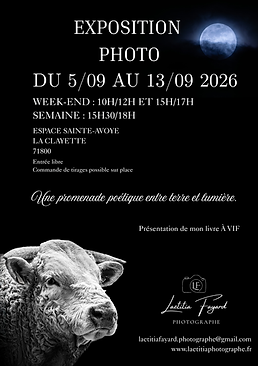 Invitation au vernissage (1).png