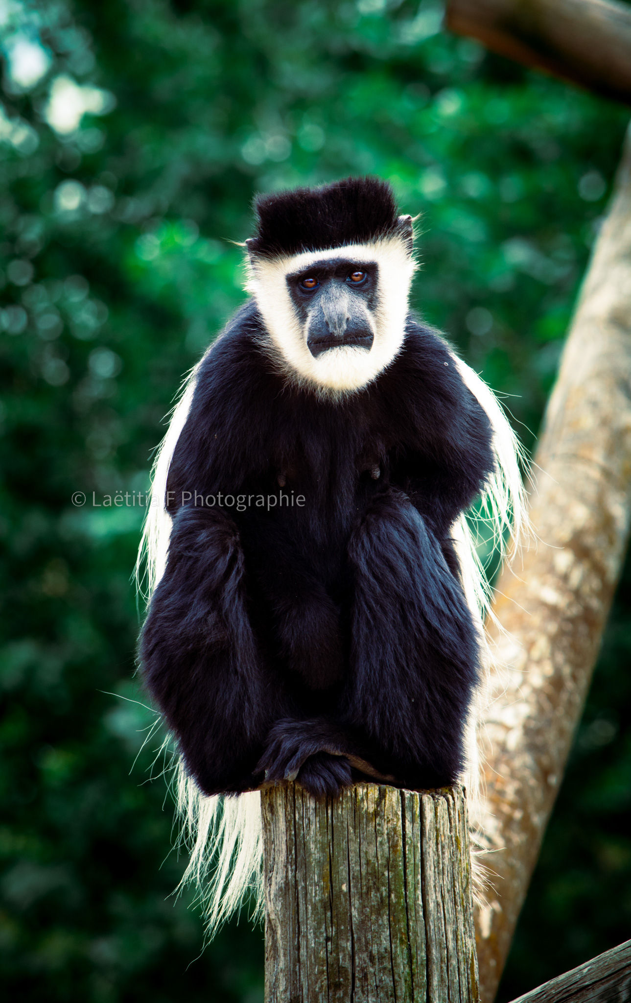 Le regard d'un autre monde