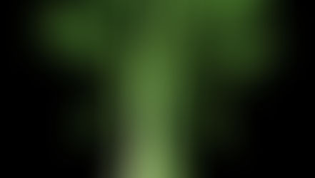  Celery Water Transport Experiment