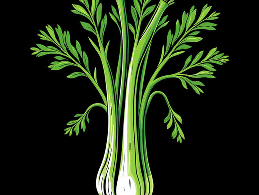 Celery Water Transport Experiment