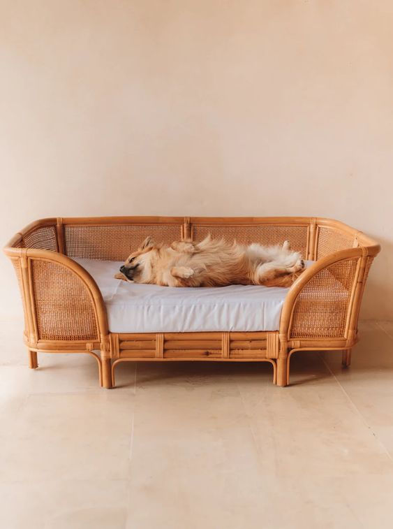 Thumbnail: Cute dog sleeping in Boho Style Dog Bed