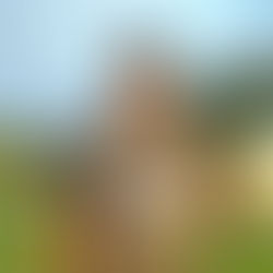 🏆 KOEPKA'S BACK ON THE PGA TOUR. BACK WITH A BALL THAT DELIVERS