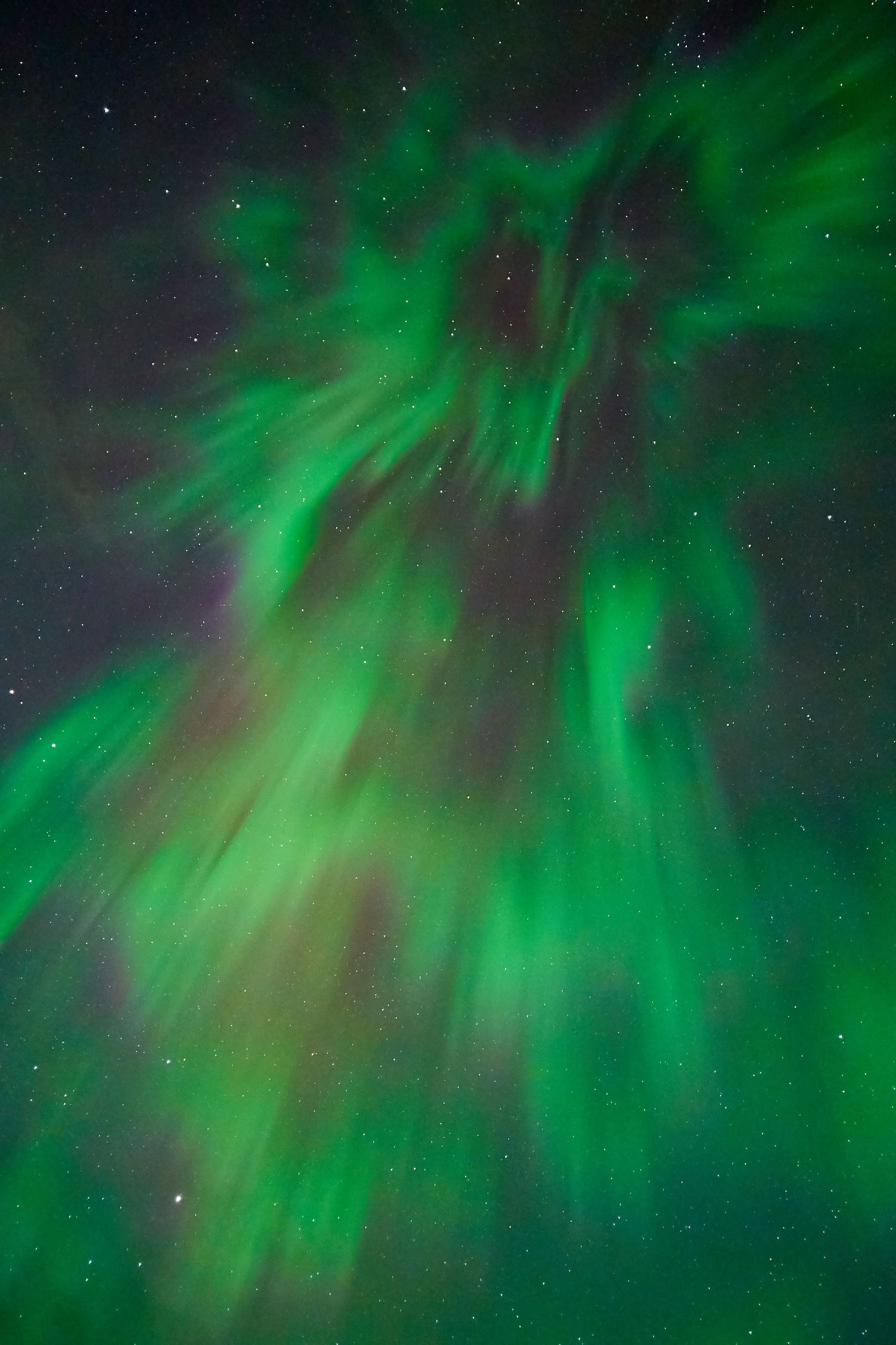 Aurora in Banff, from tunnel mountain campground