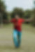 pexels-luis-quintero-1708539.jpeg