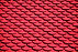 Red Roof Tiles