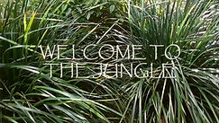 welcome to the jungle cover