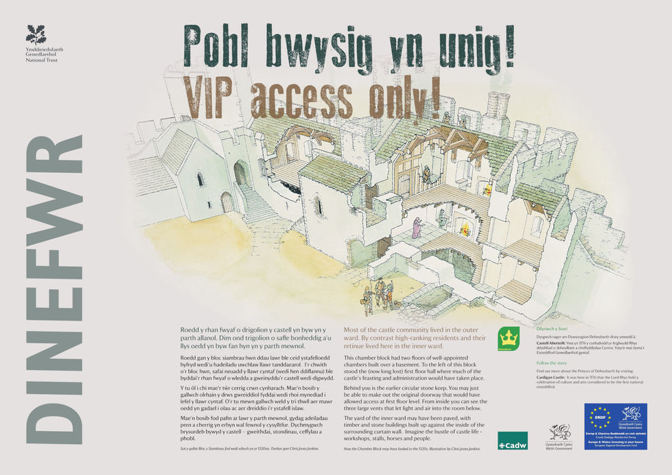 Dinefwr Castle VIP access only illustration