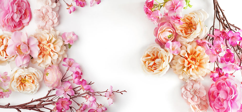 pink roses frame background backdrop_edited.jpg