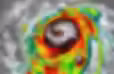 ree