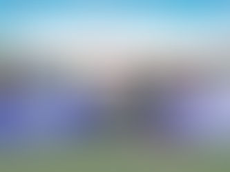 Sandals Foundation, returning guests donate sports gear to TCI Softball Federation