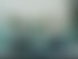 ‘Let It Grow’ Programme Blooms in Schools across the Turks and Caicos Islands