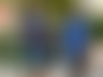 The Value of Finding Solutions