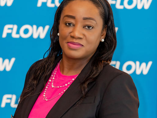Flow Business TCI launches Pitch Competition for Local Small Business Owners