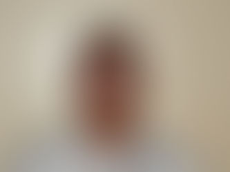 Male Charged with Sexual Assault Granted Bail