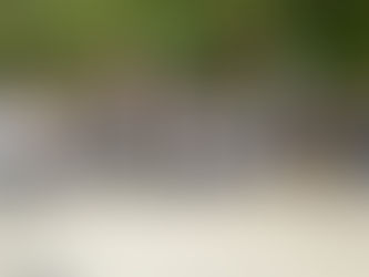 Prestige Volunteers, Sandals Foundation Give Ianthe Pratt Much-Needed Face Lift