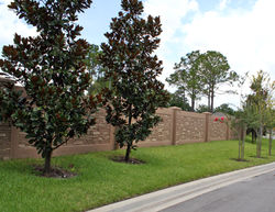 Stacked Stone Design