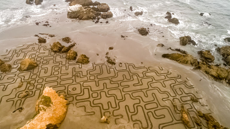 Coordinated Chaos VIII, 2020, California.jpg