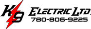 K9 Electric.jpeg
