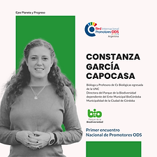 Ejes Planeta y Progreso (2).png