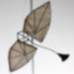 Wing Glider