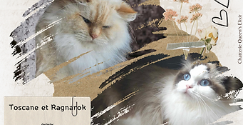 Toscane&ragnarok.png