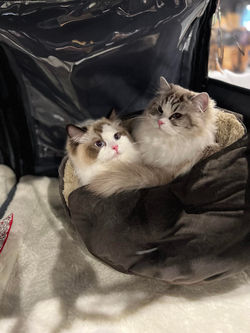 335059282_211779168346293_5020718797061737190_n