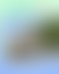 ๐ Waterfront Crush Wednesday ๐
Wednesday 22nd