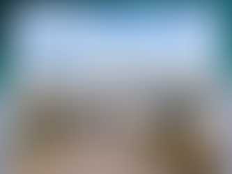 🌊 Waterfront Crush Wednesday 🌅 December 24th