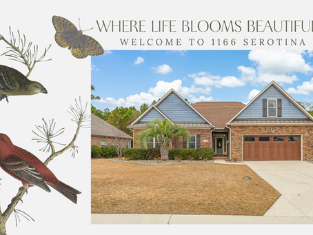 The Gallery • 1166 Serotina Drive SE, Bolivia, NC 28422