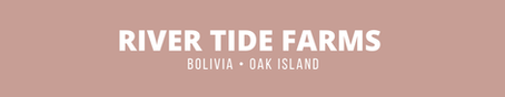 Explore real estate including new homes in River Tide Farms in Bolivia NC with Live Love Brunswick 910-777-5483 Jessica Wainwright and Niki Todd