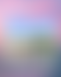 🌊 Waterfront Crush Wednesday 🌅 February 11th