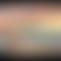 Email Campaigns, Flyers,Social Media, Videos