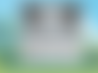 Proposed Construction on 3318 W Dolphin Drive 💍