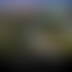 7301 Shell Midden Court, Wilmington, NC 28411 Social Media, Flyers, Brochures, Videos, and Email Campaigns