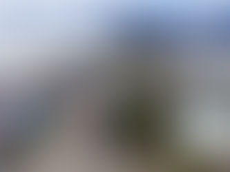 The Gallery • Proposed Construction on 3318 W Dolphin Drive 💍