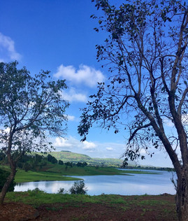 Lake view