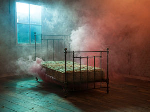 DREAMS OF INK + FLOWERS by JAVIERA ESTRADA