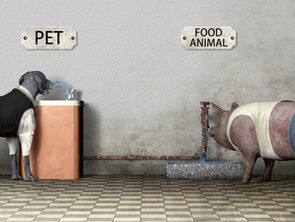 Dengke Chen: Reframing Imagery at CSN Fine Art Gallery