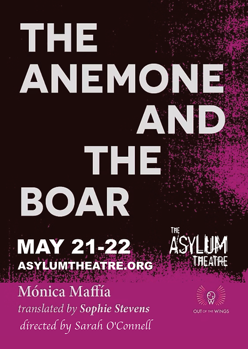 anemone and boar press release image.png