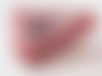 Las Vegas artist, Diane Bush to show at MEM Festival at Bilbao, Spain