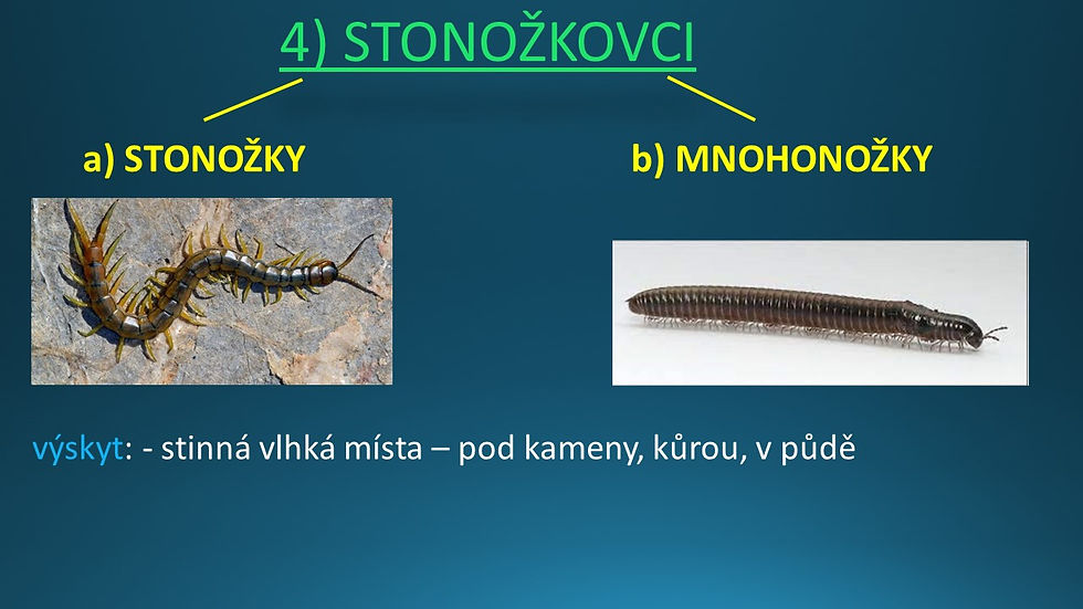 6 PŘÍRODOPIS-členovci