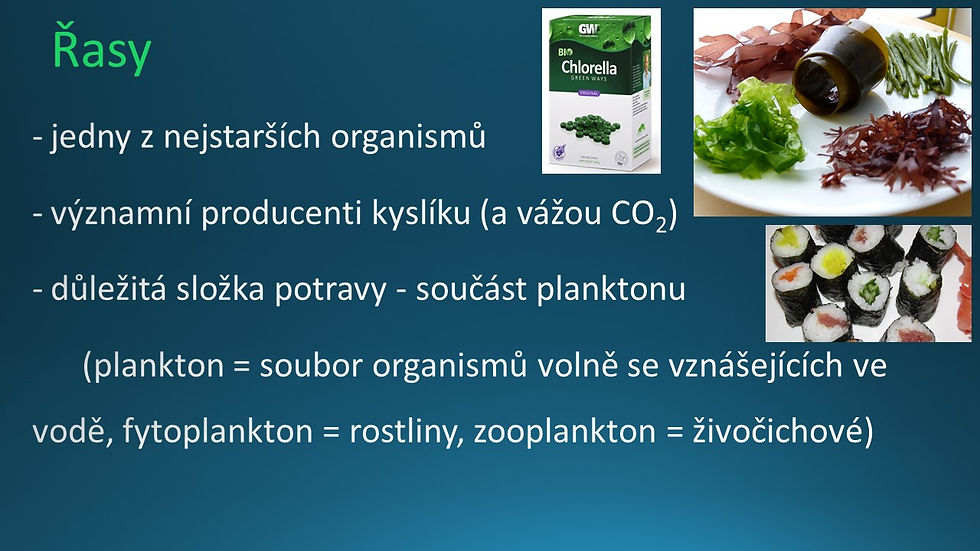 6 PŘÍRODOPIS - Úvod-kapradiny2