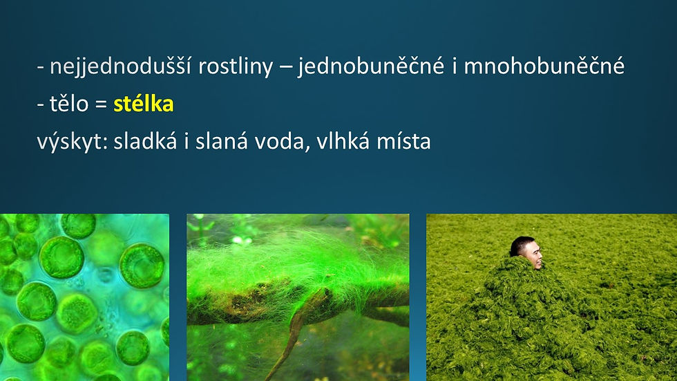 Snímek87